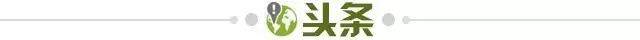 开云体育官网-【早报】新老传控对决？意大利靠防反带走比赛！
